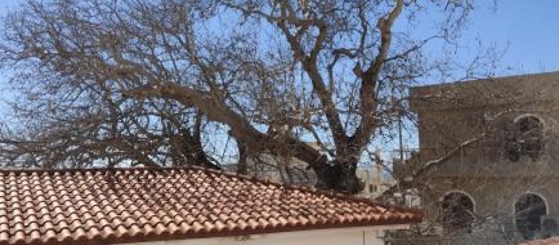 εικόνα ακινήτου