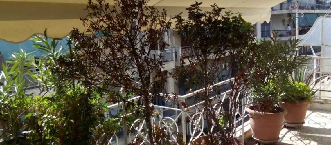 εικόνα ακινήτου