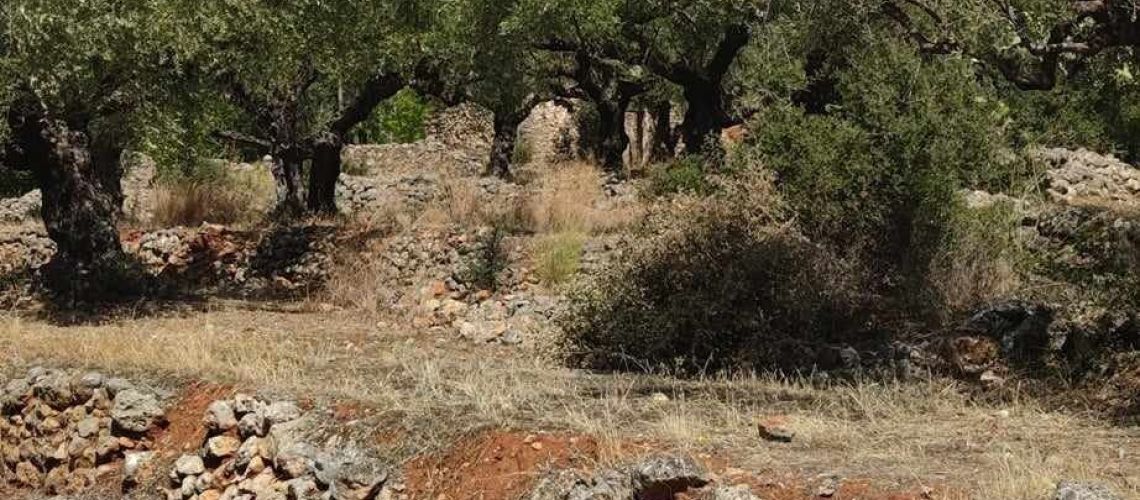 εικόνα ακινήτου