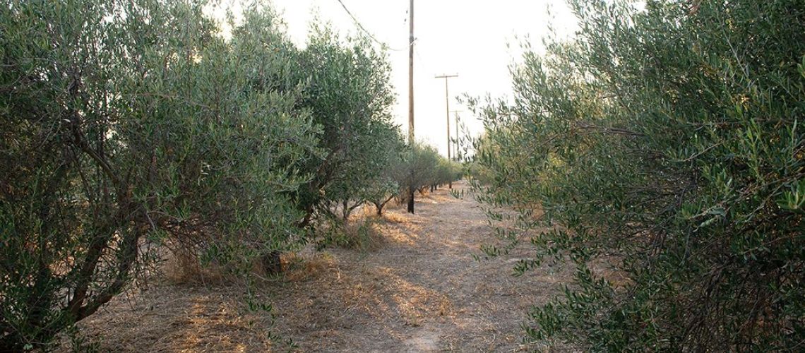 εικόνα ακινήτου