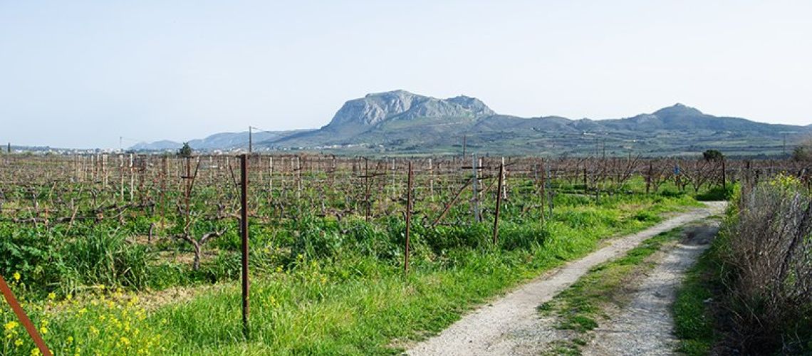εικόνα ακινήτου