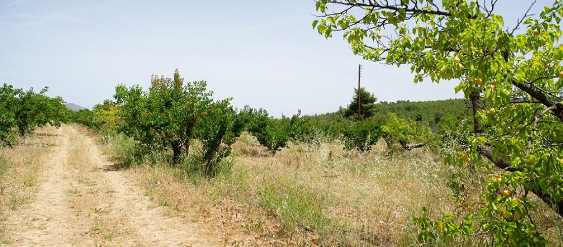 εικόνα ακινήτου