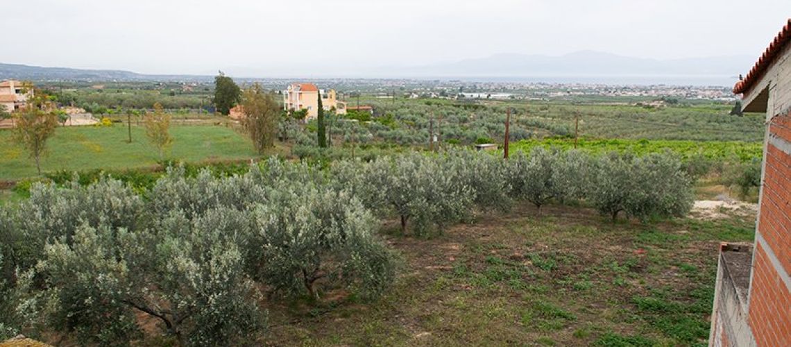 εικόνα ακινήτου
