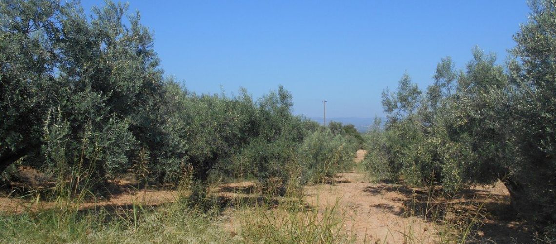 εικόνα ακινήτου