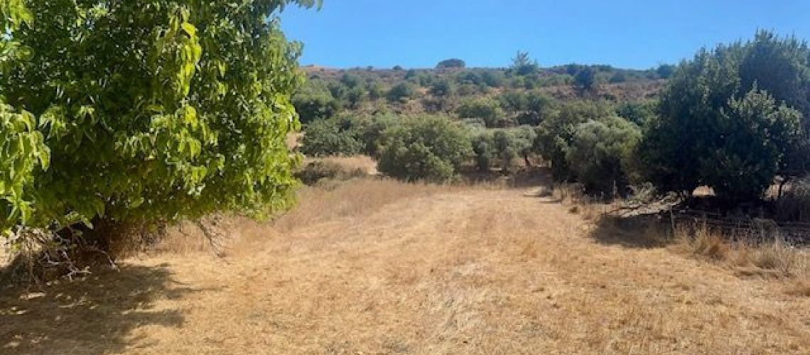 εικόνα ακινήτου