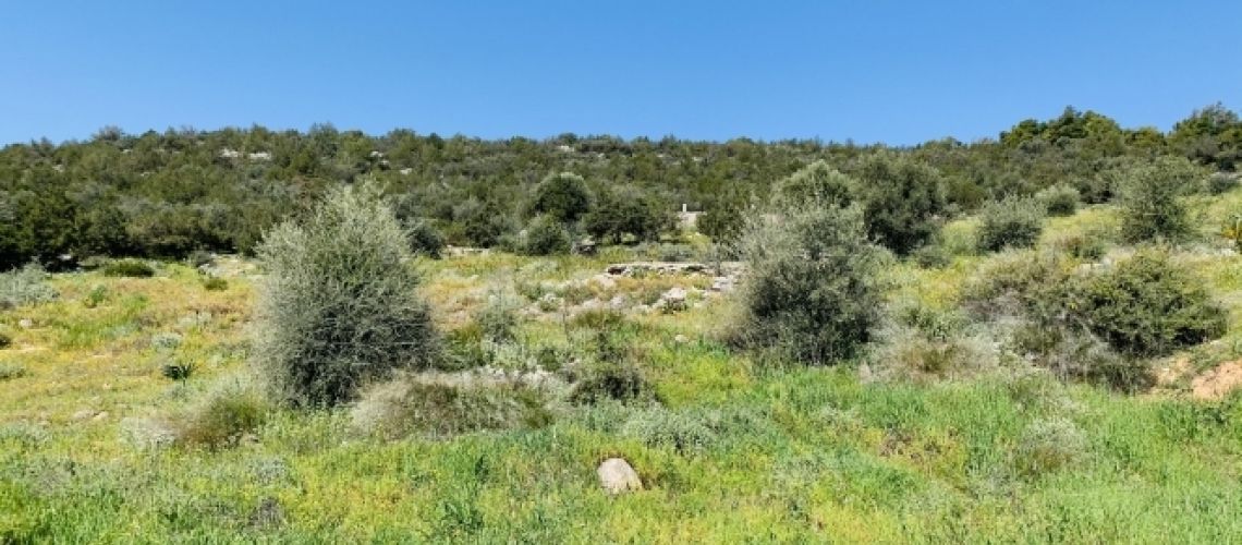 εικόνα ακινήτου