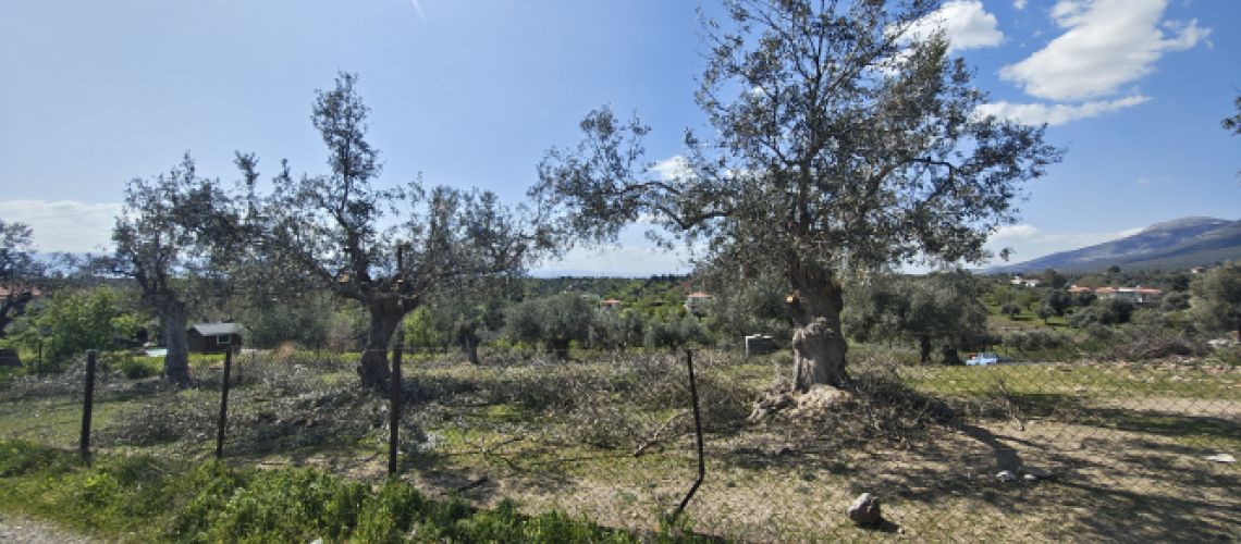 εικόνα ακινήτου