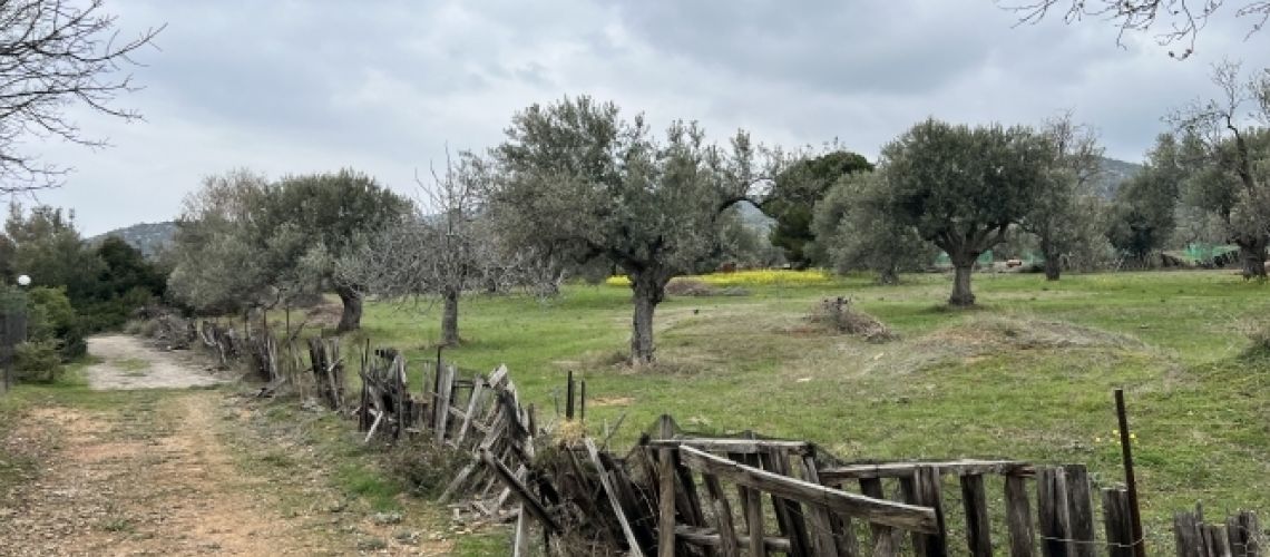 εικόνα ακινήτου