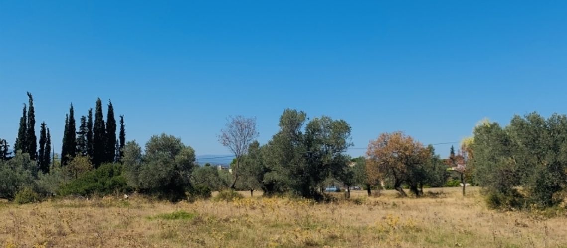 εικόνα ακινήτου
