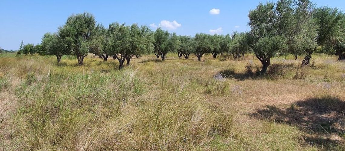 εικόνα ακινήτου