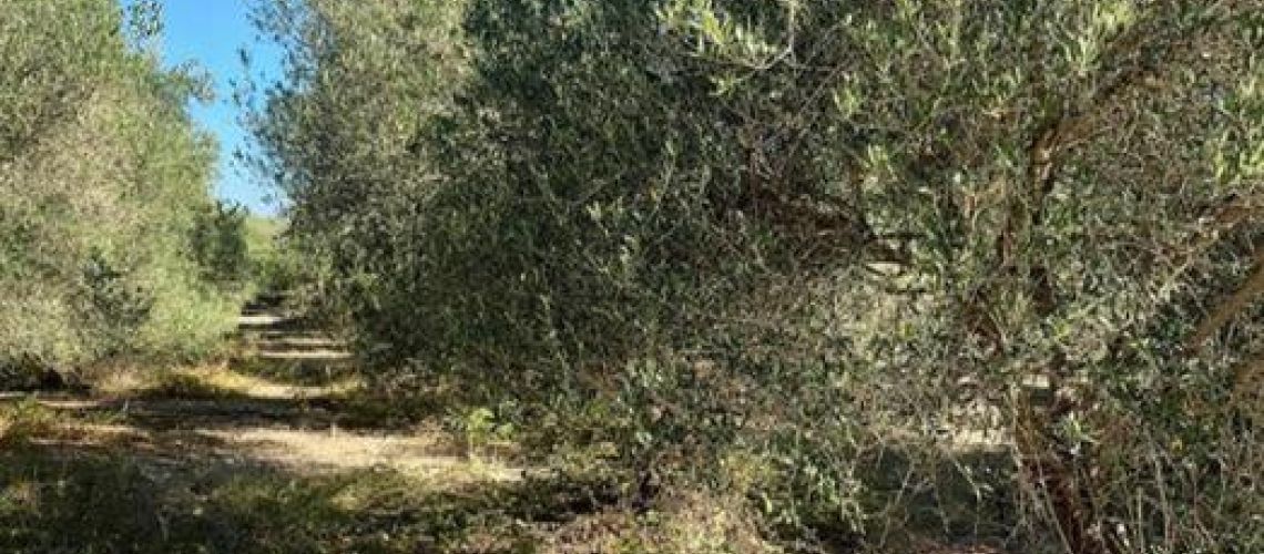 εικόνα ακινήτου