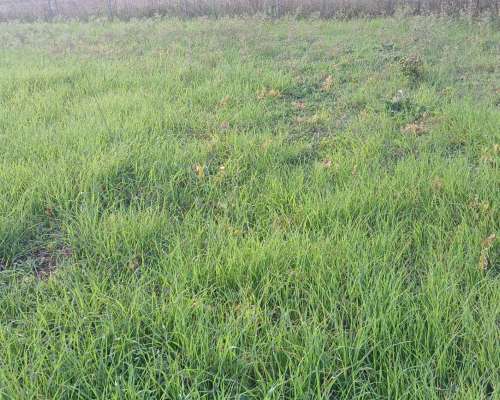 εικόνα ακινήτου