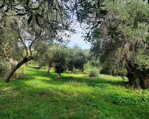 εικόνα ακινήτου