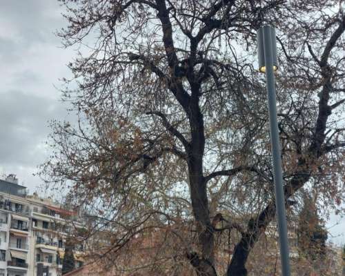 εικόνα ακινήτου