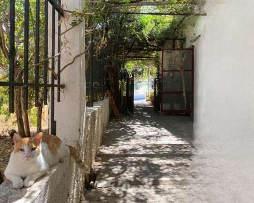 εικόνα ακινήτου
