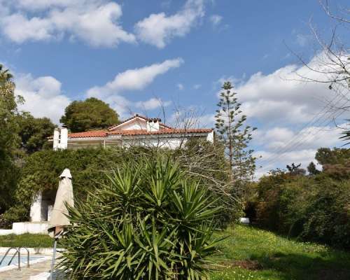 εικόνα ακινήτου