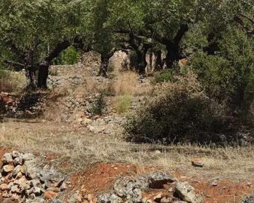 εικόνα ακινήτου