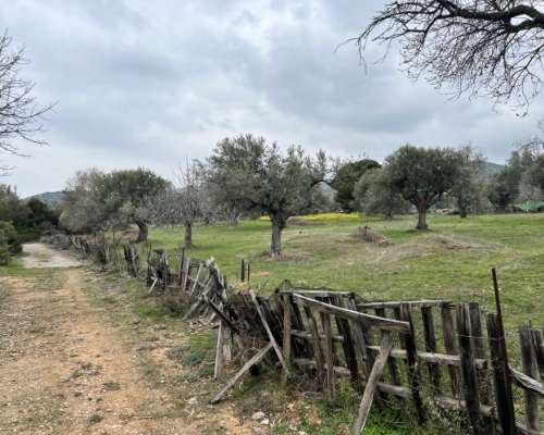 εικόνα ακινήτου