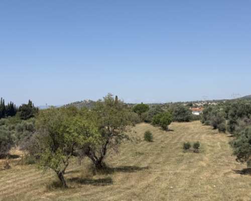 εικόνα ακινήτου