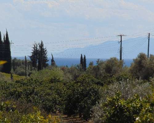 εικόνα ακινήτου